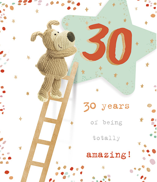 Boofle 30th Birthday card